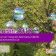 Calendari matemàtic 2016