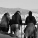 Documentalisme contemporani