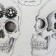 Projectes d'instal.lacions artístiques de 3r d'ESO