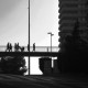 Fotodocumentalisme contemporani