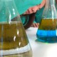 Broggiciència: experiències científiques amb l’alumnat de 3r d´ESO