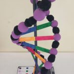 05-adn-9